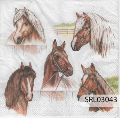 SERVILLETA ALEMANA SRL03043
