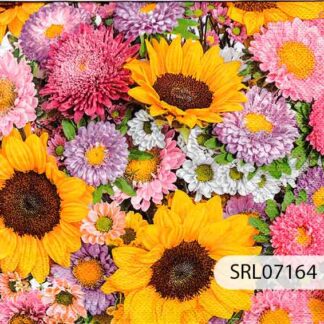 SERVILLETA ALEMANA SRL07164