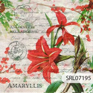 SERVILLETA ALEMANA SRL07195