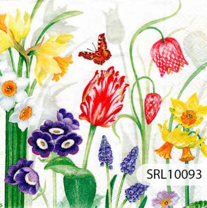 SERVILLETA ALEMANA SRL10093