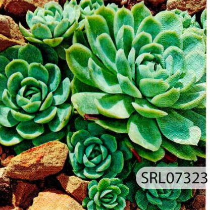 SERVILLETA ALEMANA SRL07323