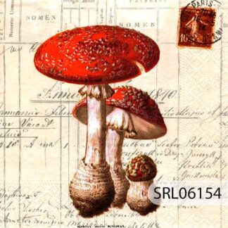 SERVILLETA ALEMANA SRL06154