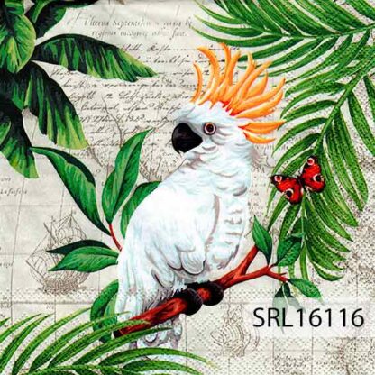 SERVILLETA ALEMANA SRL16116
