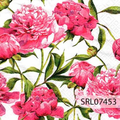 SERVILLETA ALEMANA SRL07453