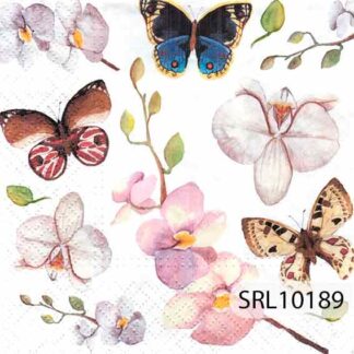 SERVILLETA ALEMANA SRL10189