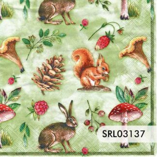 SERVILLETA ALEMANA SRL03137