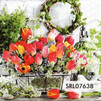 SERVILLETA ALEMANA SRL07638