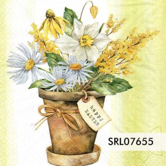 SERVILLETA ALEMANA SRL07655