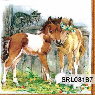 SERVILLETA ALEMANA SRL03187