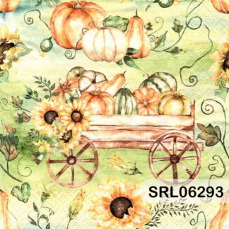 SERVILLETA ALEMANA SRL06293