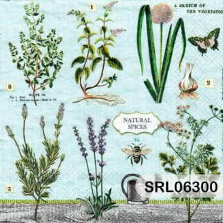 SERVILLETA ALEMANA SRL06300