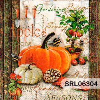 SERVILLETA ALEMANA SRL06304