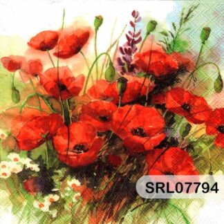 SERVILLETA ALEMANA SRL07794