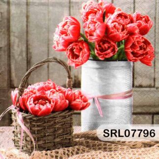 SERVILLETA ALEMANA SRL07796