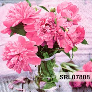 SERVILLETA ALEMANA SRL07808