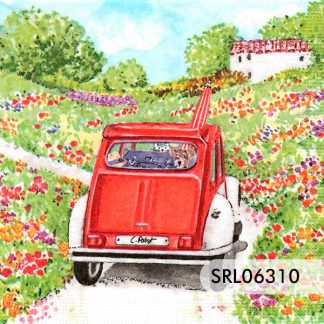 SERVILLETA ALEMANA SRL06310