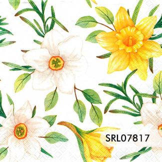 SERVILLETA ALEMANA SRL07817