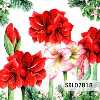 SERVILLETA ALEMANA SRL07818