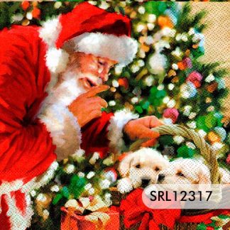 SERVILLETA ALEMANA SRL12317