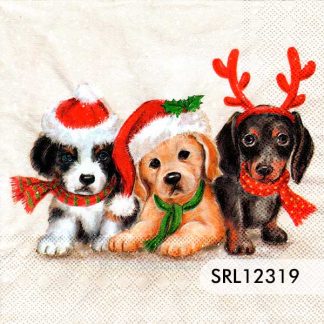 SERVILLETA ALEMANA SRL12319