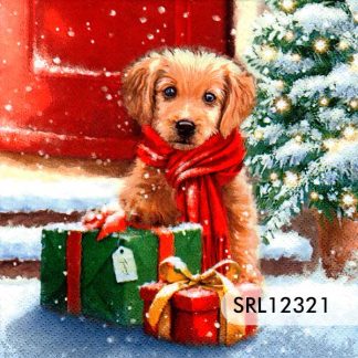 SERVILLETA ALEMANA SRL12321