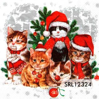 SERVILLETA ALEMANA SRL12324