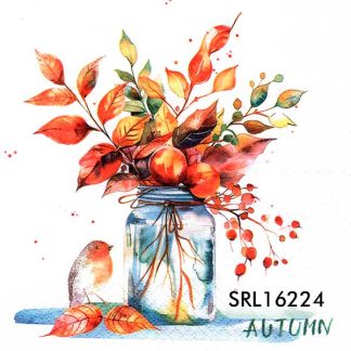 SERVILLETA ALEMANA SRL16224