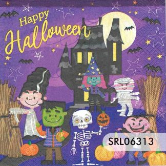 SERVILLETA ALEMANA SRL06313