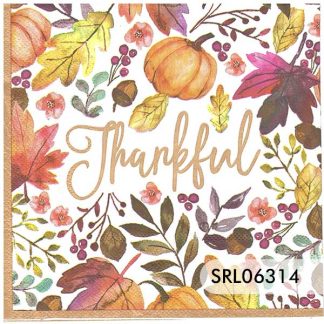 SERVILLETA ALEMANA SRL06314